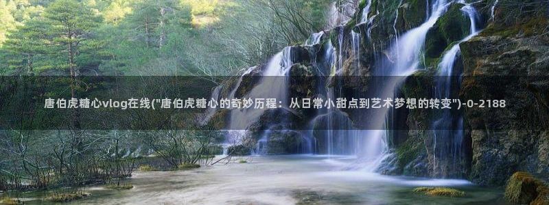 糖心vlog所有作品