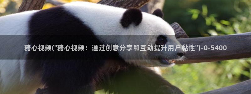 糖心vlog入口官网