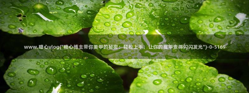 糖心vlog工作室