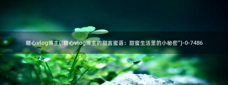 糖心vlog播放