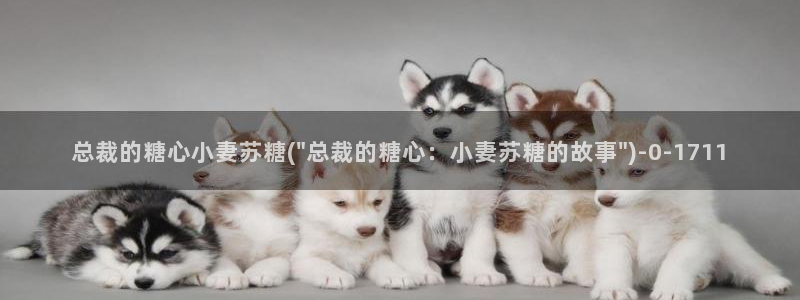 唐伯虎糖心vlog