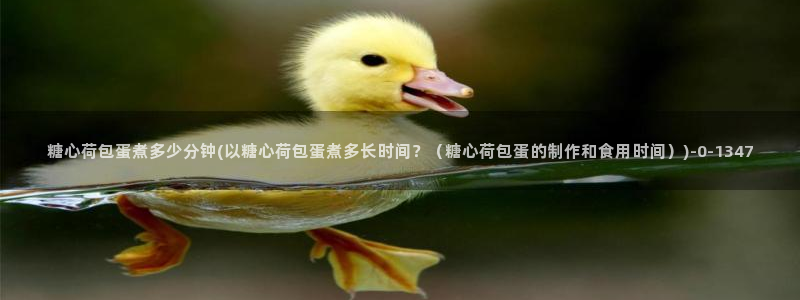 心糖vlog