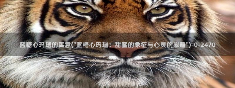 糖心vlog小桃视频