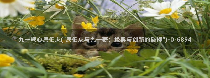 糖心vlog下载免费版