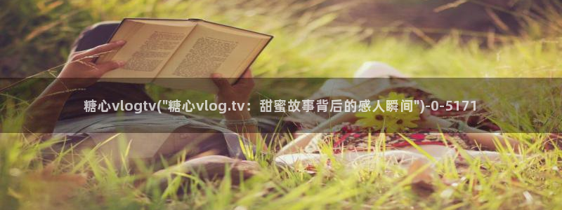 糖心vlog破解版入口