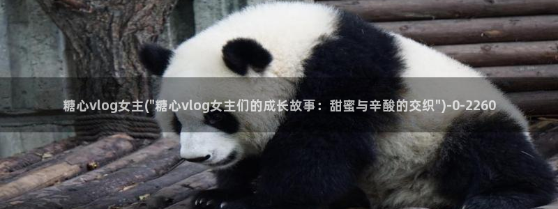 糖心vlog破解免费版
